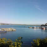 WP_001024