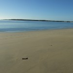 DSCF5416